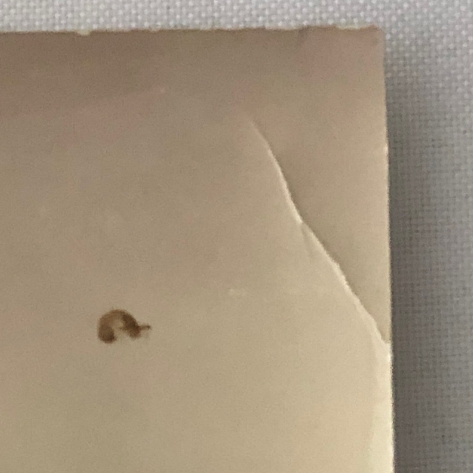 Vintage Buenos Aires Racing Photo Photograph Print Porsche Cars ?