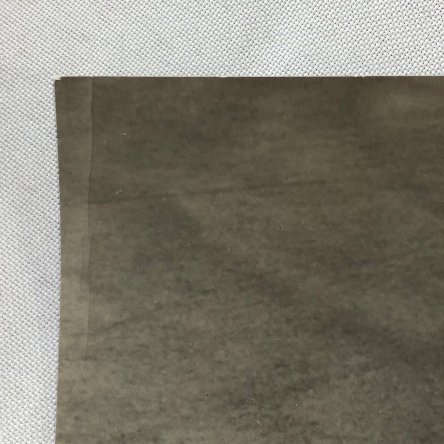 Volkswagen VW Beetle Photo Photograph Print 1982