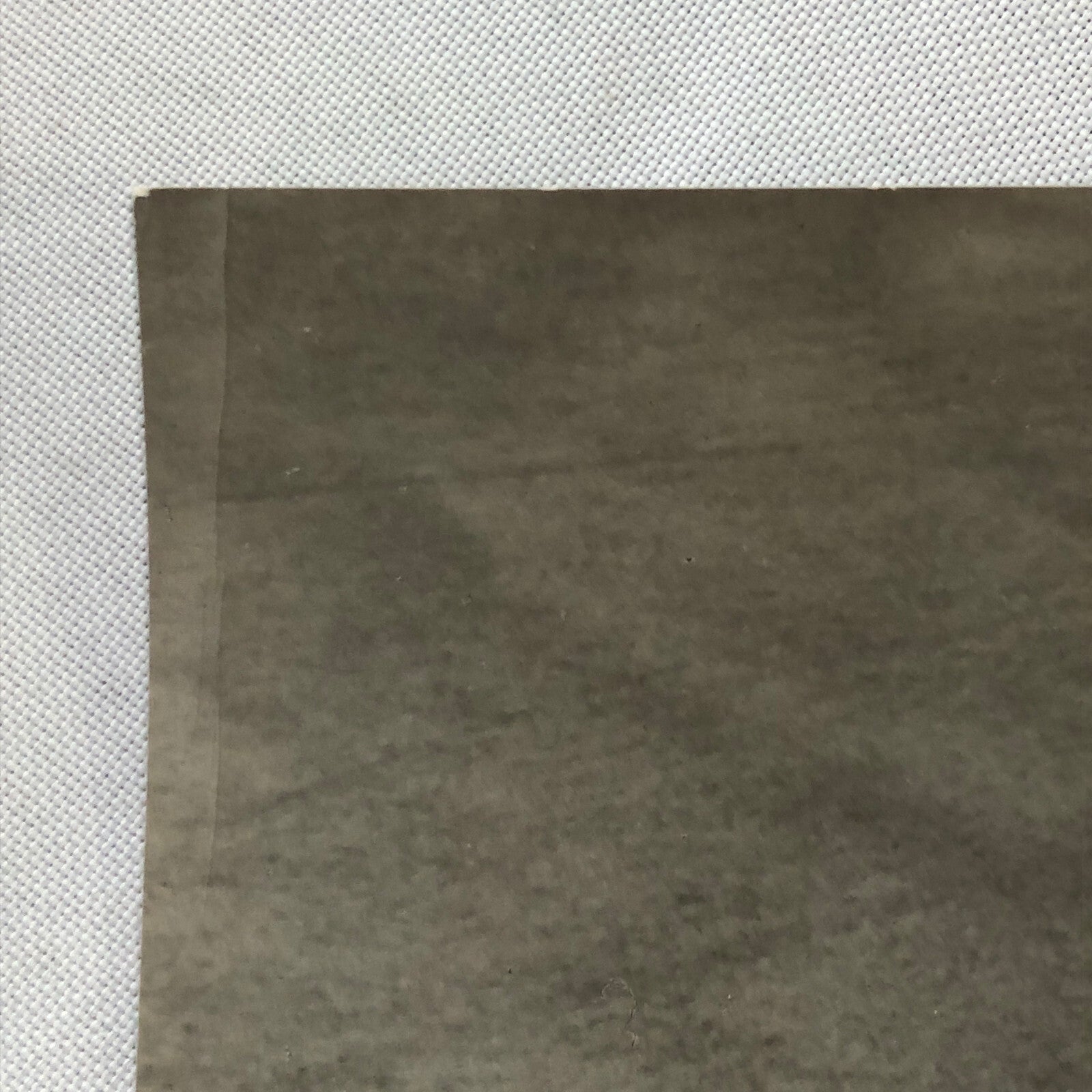 Volkswagen VW Beetle Photo Photograph Print 1982