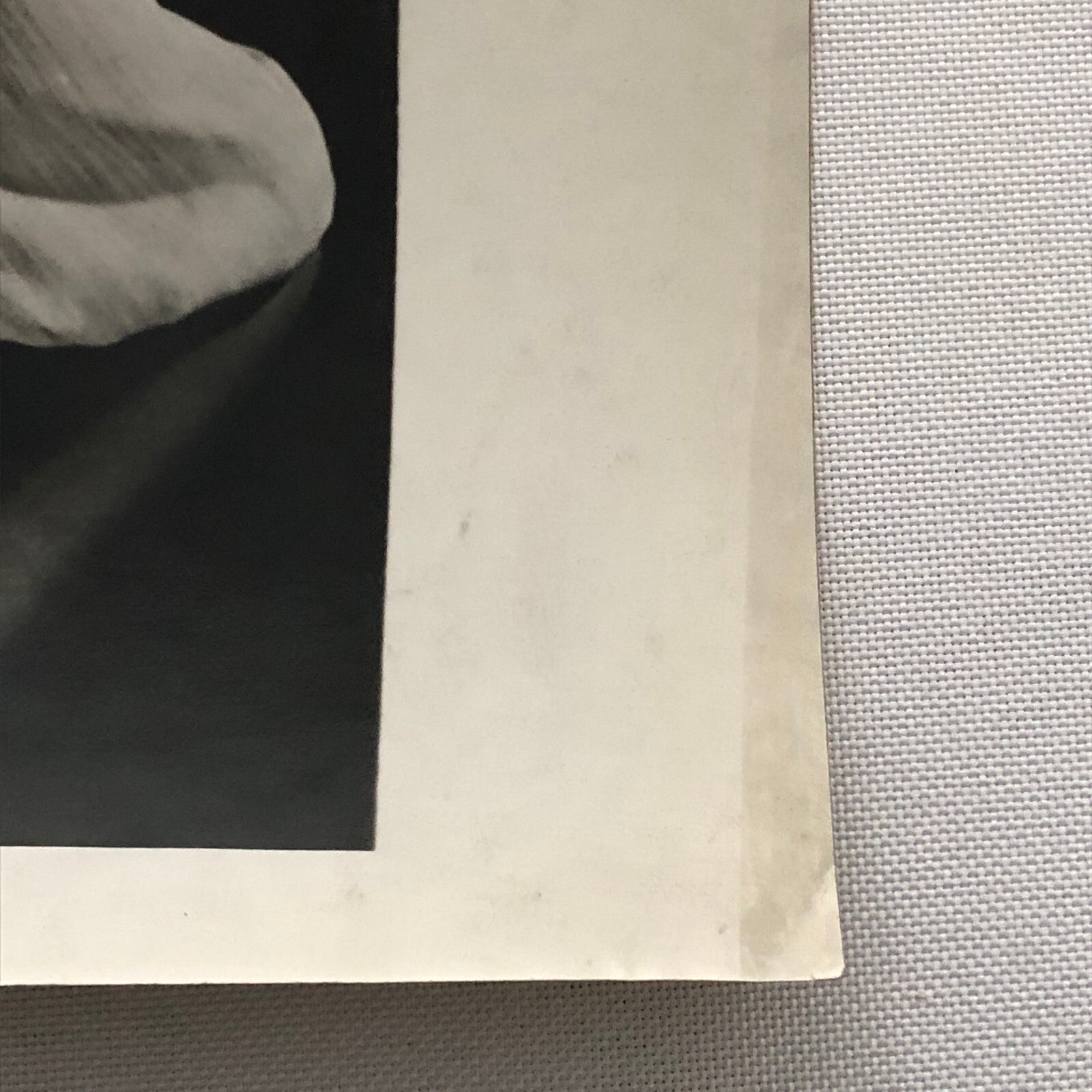 Press Photo Photograph Fashion Model Flamisol Fabric Underwood & Underwood