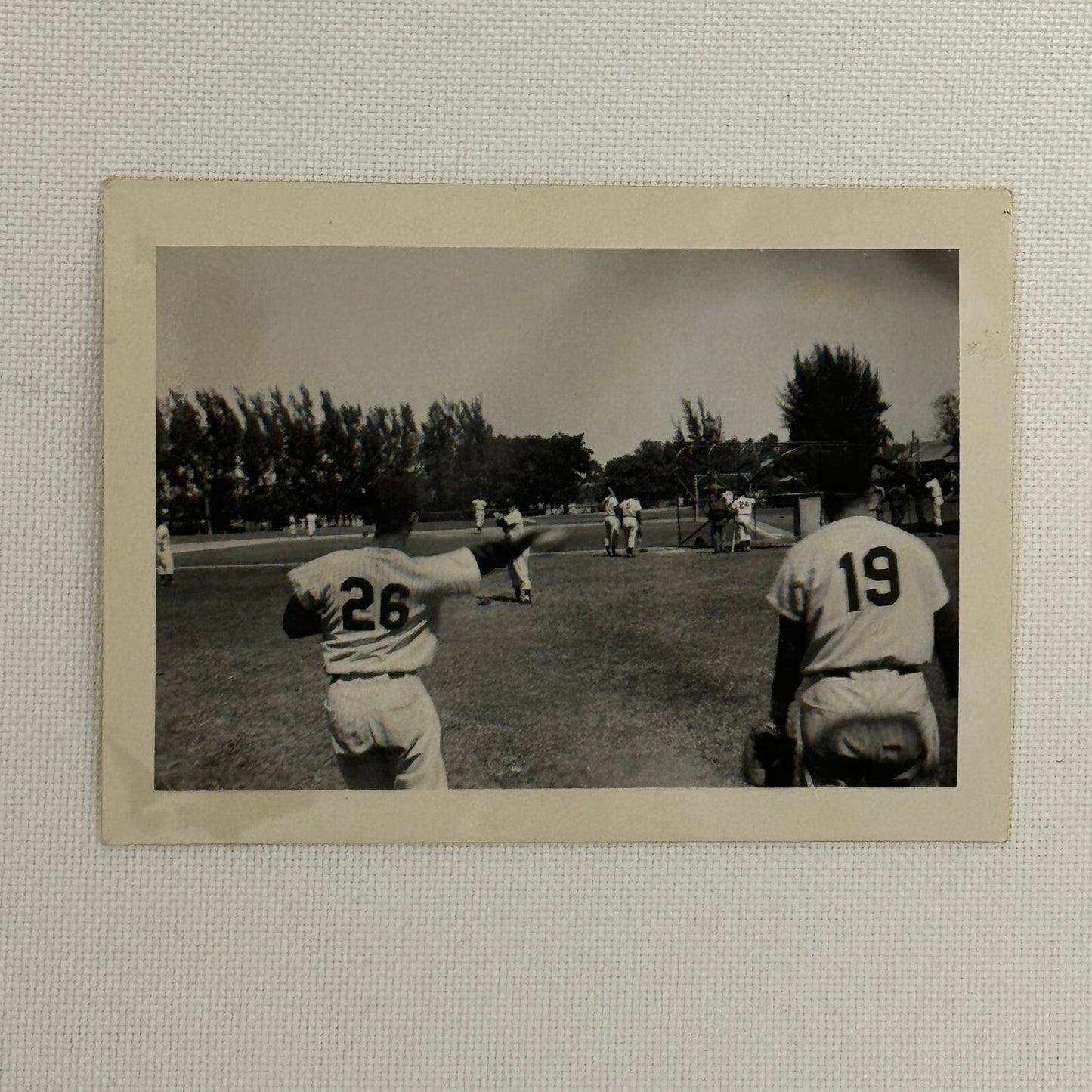 1950 New York Yankees Photo Photograph Snapshot Baseball NY Johnson Marshall