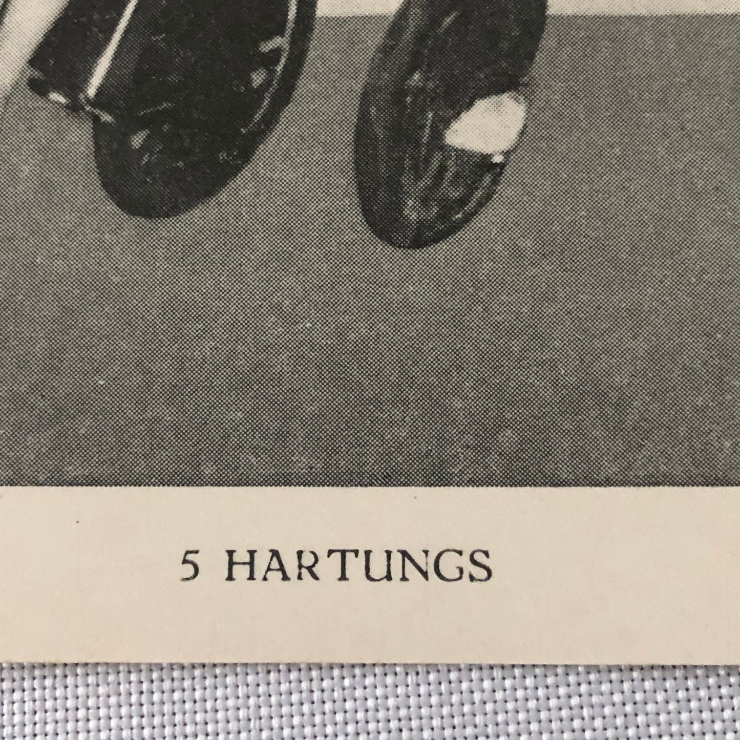 Vintage Circus Performer Bicycle Unicycle Act Postcard Post Card 5 Hartungs