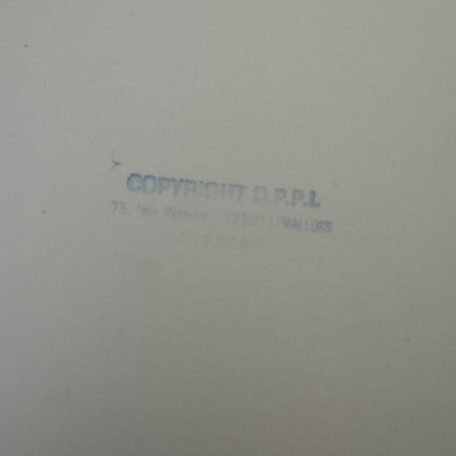 Vintage Rally Racing Photo Photograph Print DPPI Fiat 127 Car