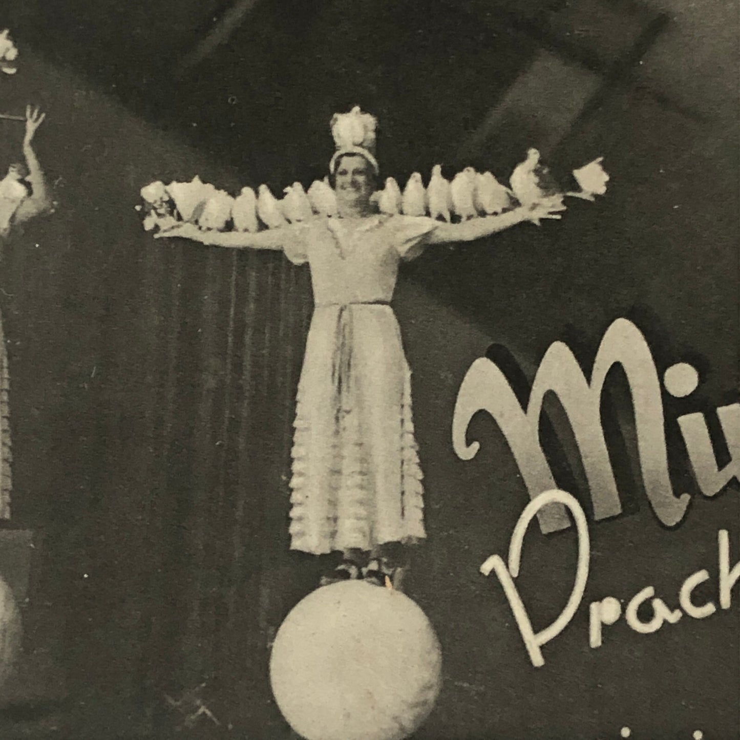 Circus Bird Training Act Postcard Post Card Vintage Mirza's Pracht Tauben Akt