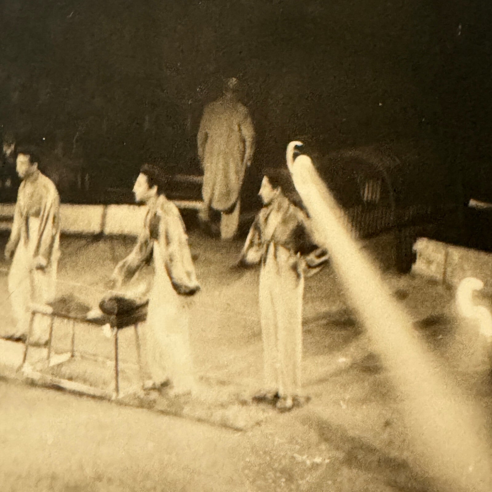 Vintage Circus Act Photo Photograph Print