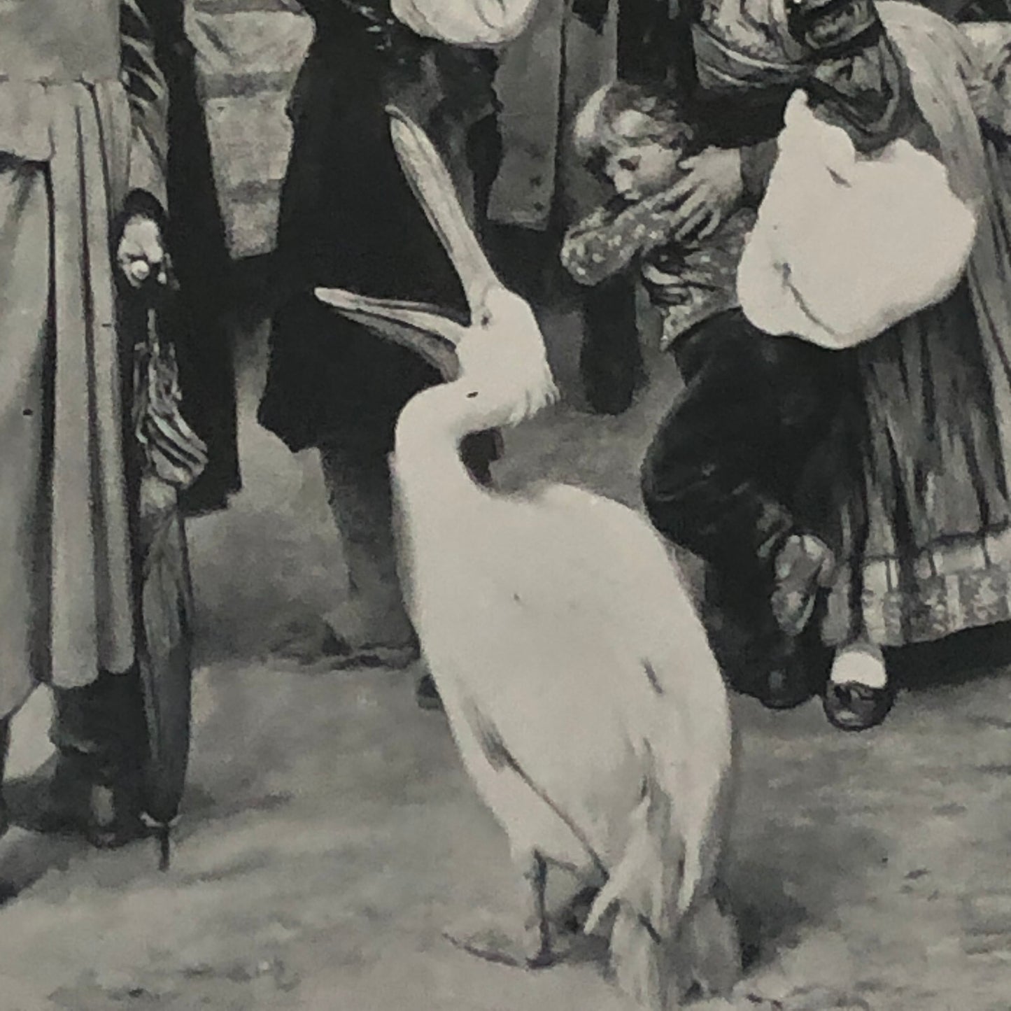 Circus Painting Vintage Photo Photograph Snake Camel Birds Animal Act