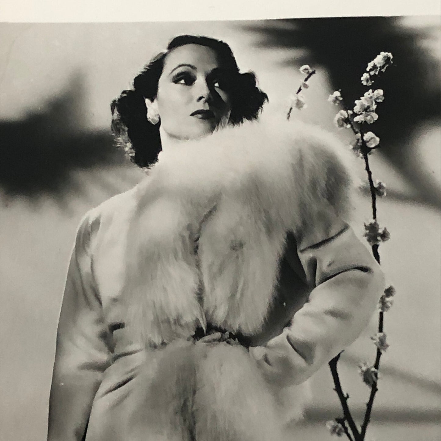 Dolores Del Rio Vintage Actress Photo Photograph Print Modern Print