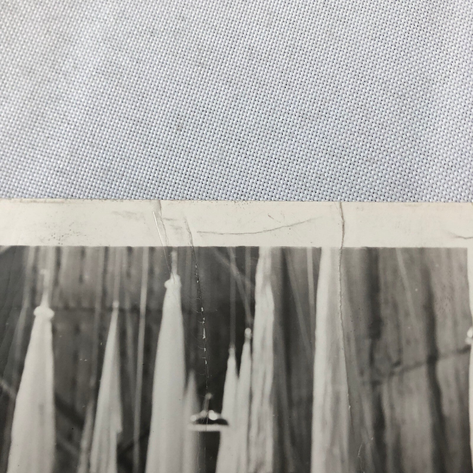 HUGE Celebrity Movie Film Star Still Press Photo Photograph Lot 100+ 1950s-1990s