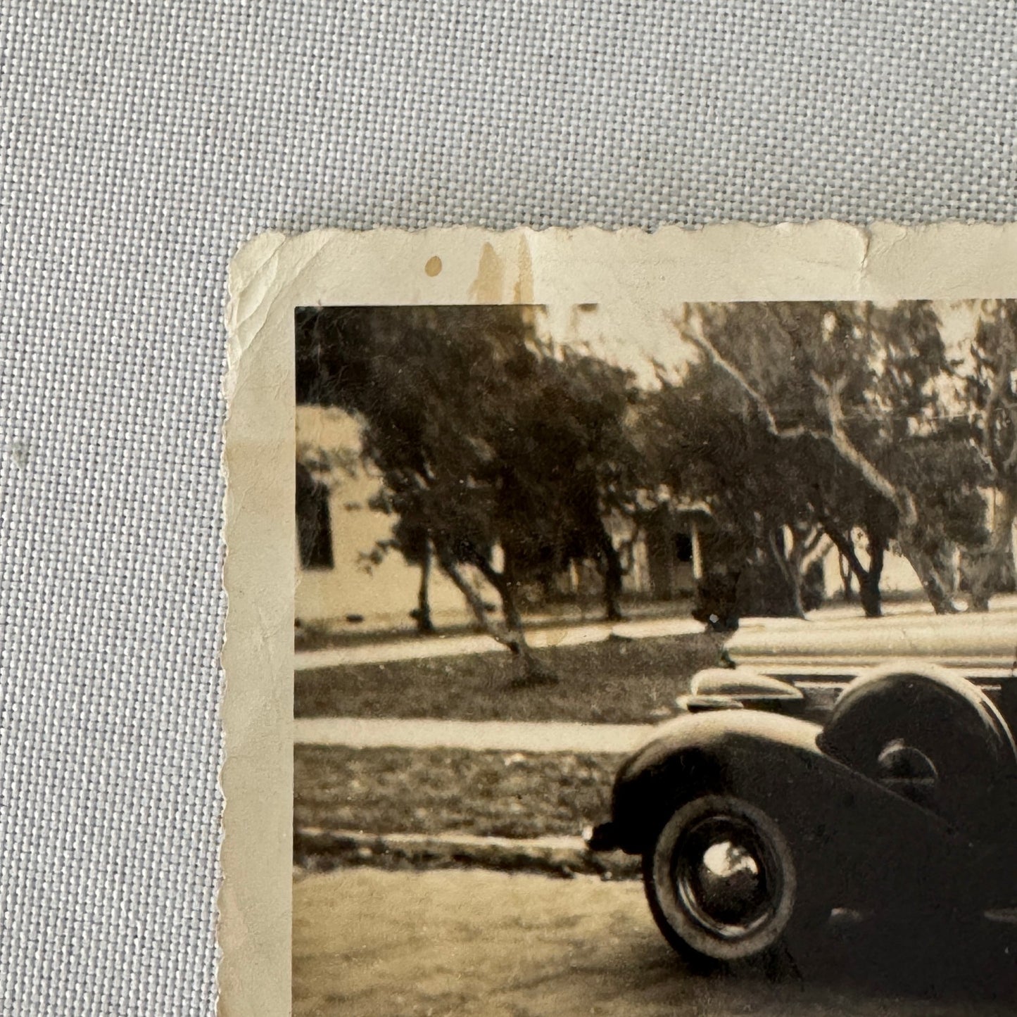 Vintage Photograph Photo Print Women with Car Automobile