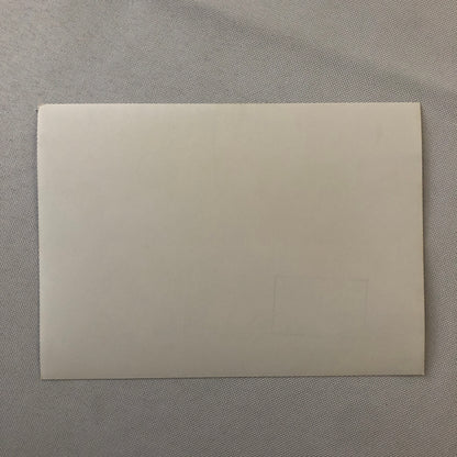 Vintage Motorcycle Racing Photo Photograph Print Germany Sidecar Side Car