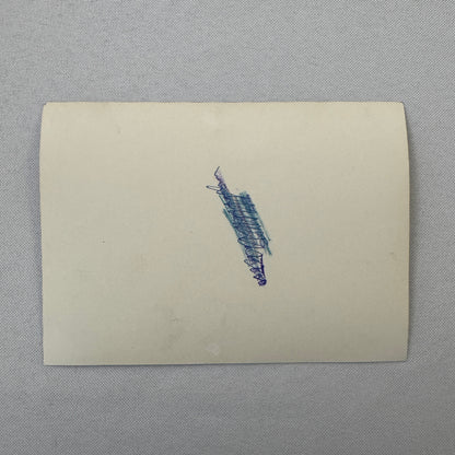 Circus Performer Roller Skating Act Roller Skate Photo Photograph 2 Veronas