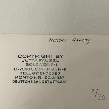 Vintage Racing Photo 1971 Austrian Grand Prix Driver Howden Ganley Motorsport