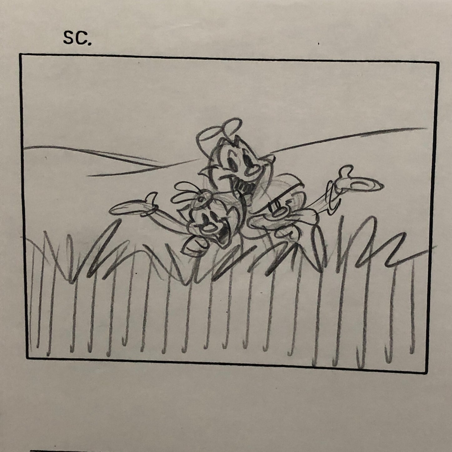 ANIMANIACS Animation Storyboard Illustration Drawing Sketch Art Story Board