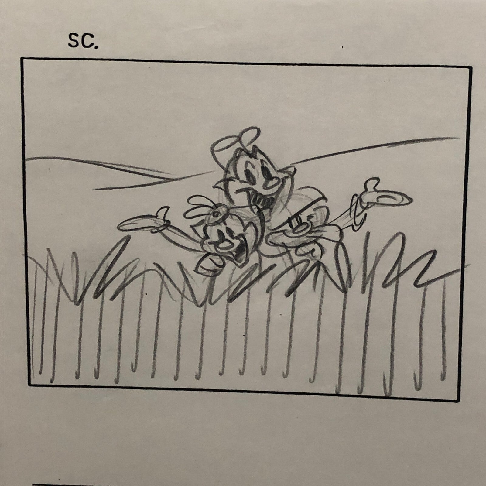 ANIMANIACS Animation Storyboard Illustration Drawing Sketch Art Story Board