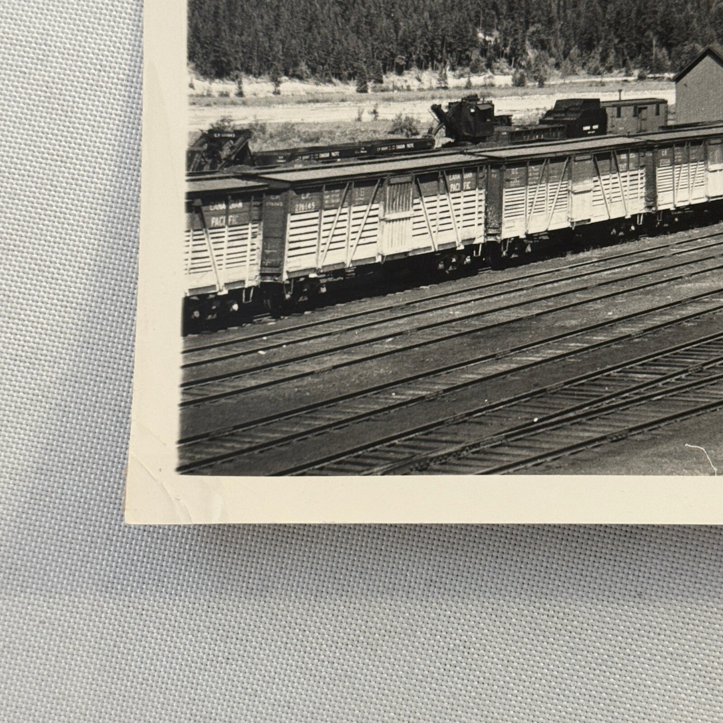 Vintage Train Railway Rail Photo Photograph CPR Yard Field British Columbia BC