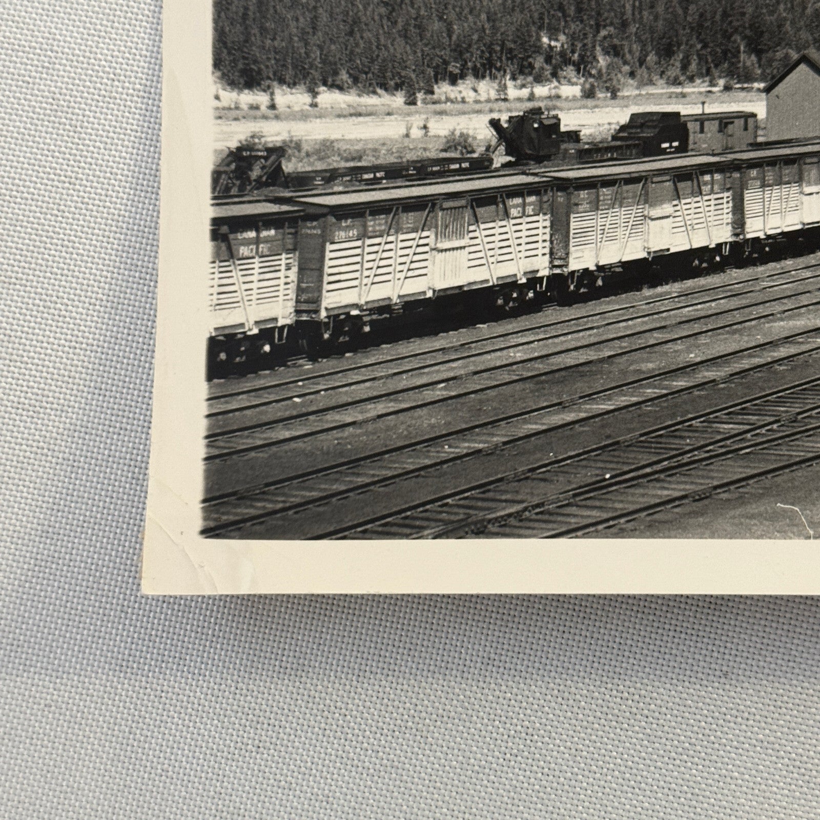 Vintage Train Railway Rail Photo Photograph CPR Yard Field British Columbia BC