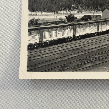 Vintage Train Railway Rail Photo Photograph CPR Yard Field British Columbia BC