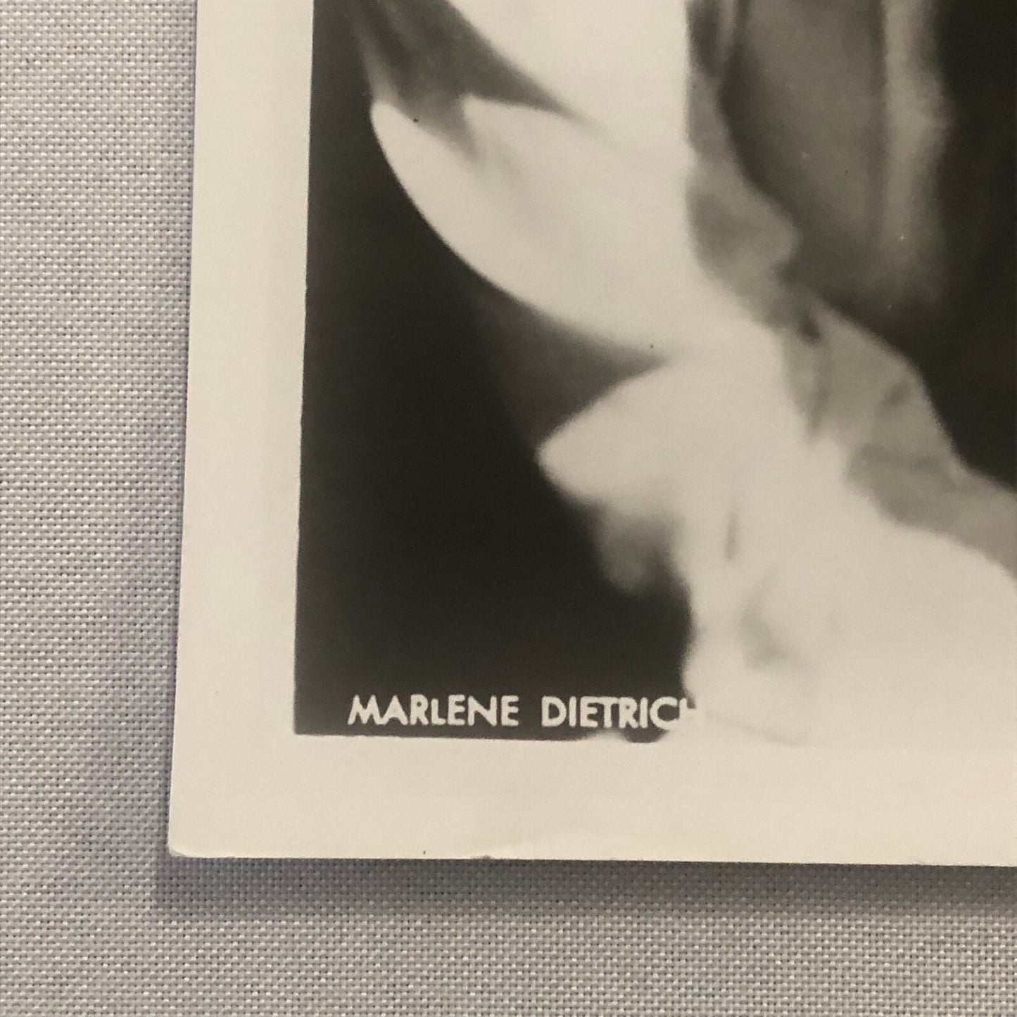 Marlene Dietrich Actress Photo Photograph Print Movie Still