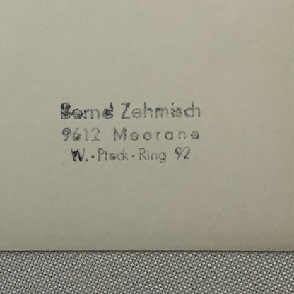 Vintage Motorcycle Racing Photo Photograph Print Germany Sidecar Side Car