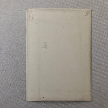 Circus Bicycle Performer Vintage Postcard Post Card Lot of 2 Les Novello French