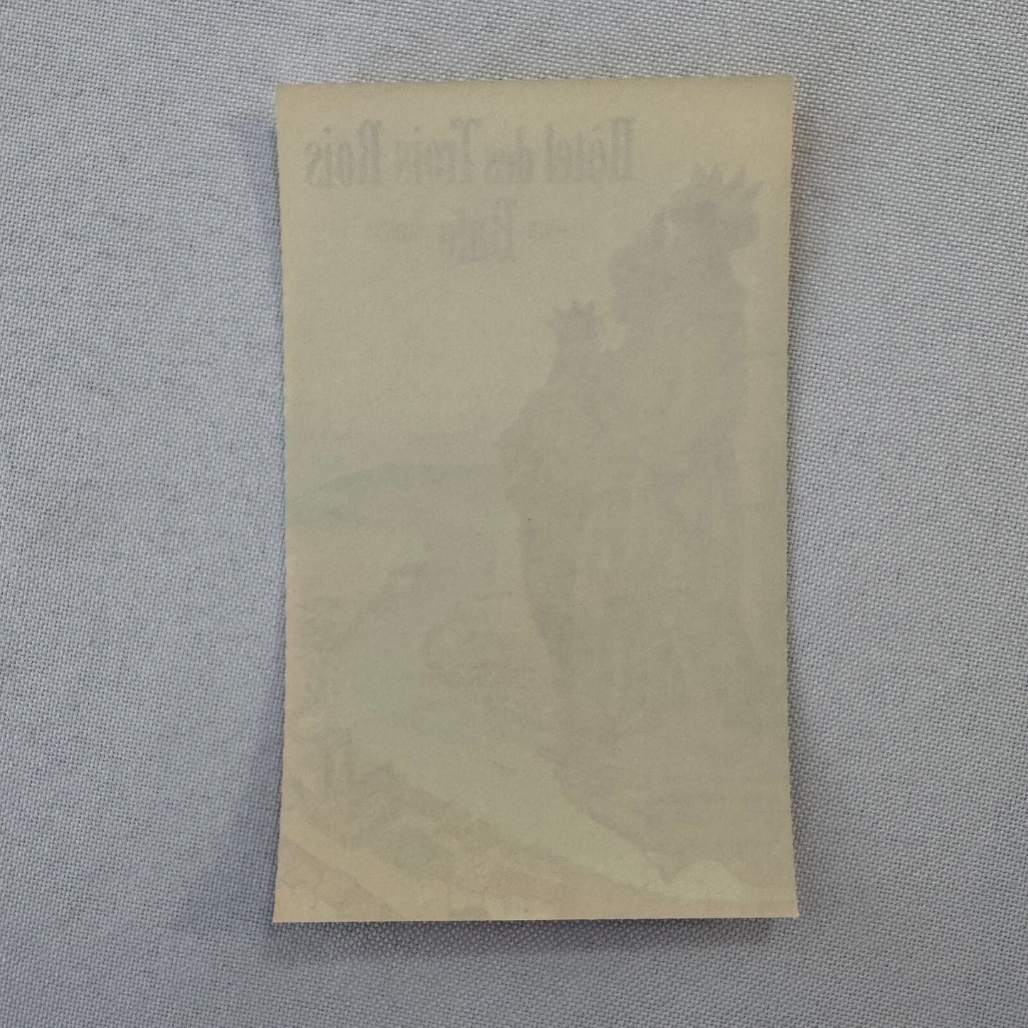 Vintage Hotel Travel Label Hotel des Trois Rois Bale Suisse Basel Switzerland