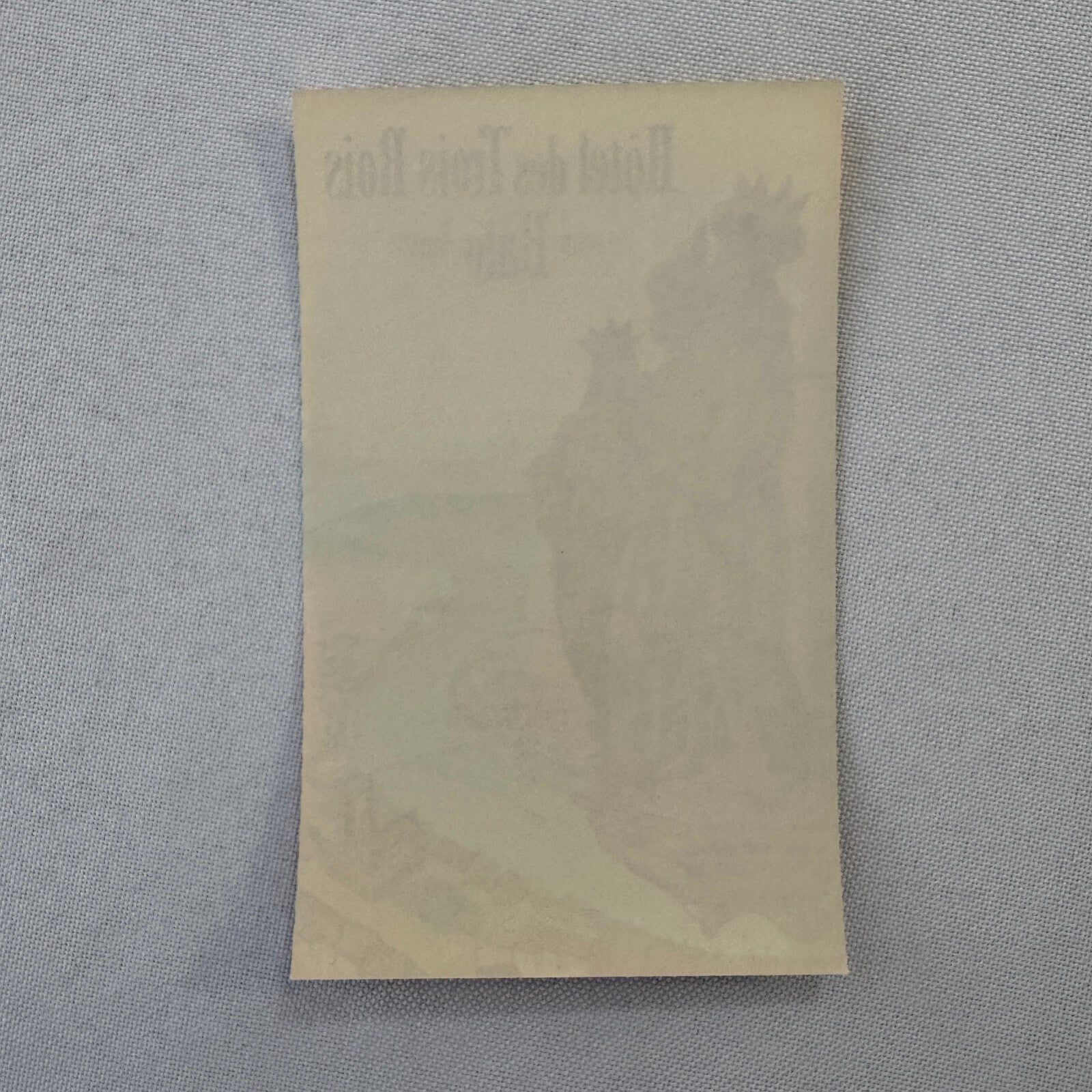 Vintage Hotel Travel Label Hotel des Trois Rois Bale Suisse Basel Switzerland