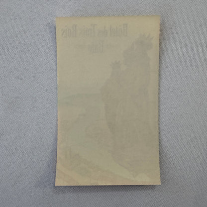 Vintage Hotel Travel Label Hotel des Trois Rois Bale Suisse Basel Switzerland