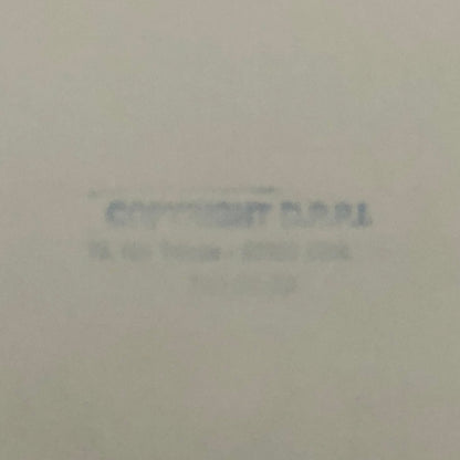 1980 Transafrica Rally Rallye Photo Photograph DPPI Citroen Car