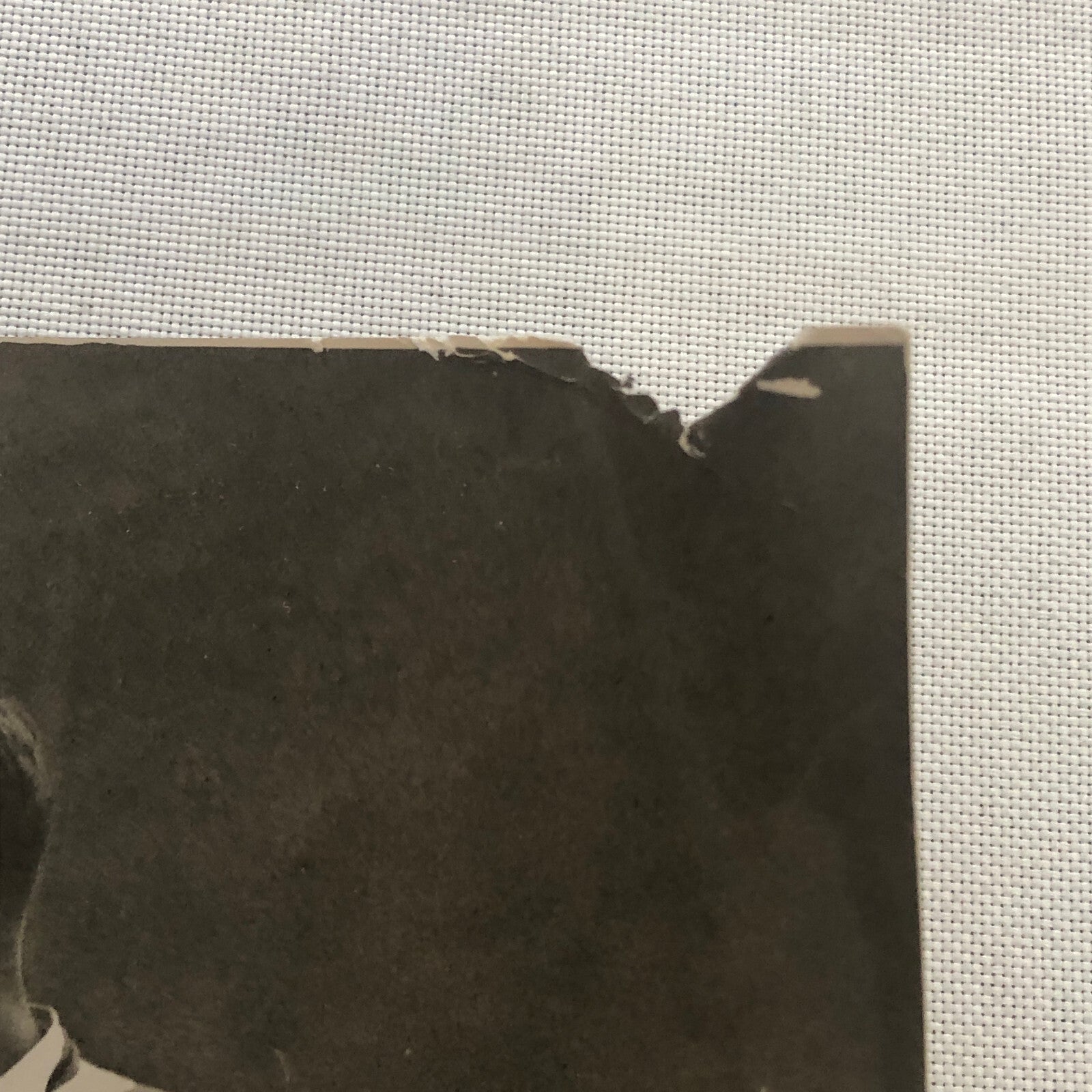 Press Photo Photograph Olympic Ice Hockey German Team Goalie with Canadian Coach