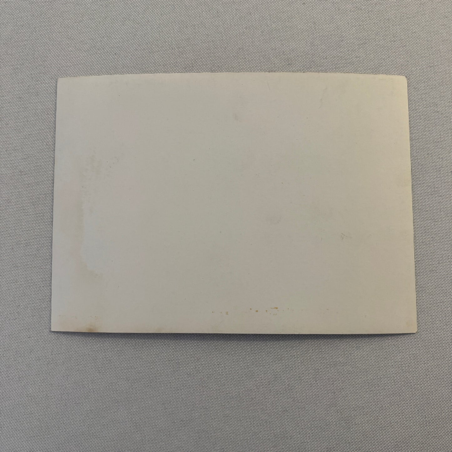 Porsche 356 Car with Dog Photo Photograph Vintage