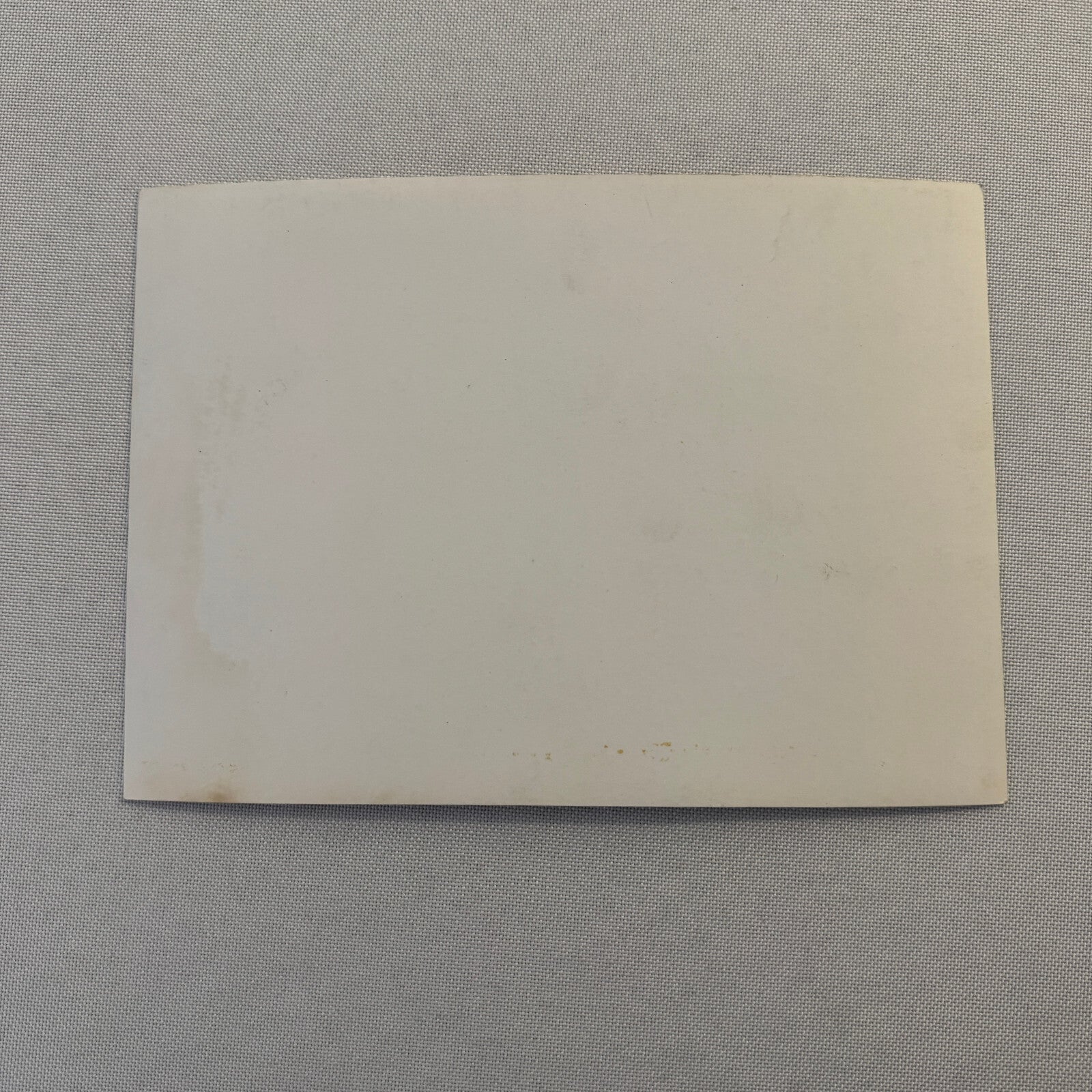 Porsche 356 Car with Dog Photo Photograph Vintage