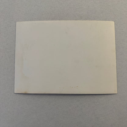 Porsche 356 Car with Dog Photo Photograph Vintage