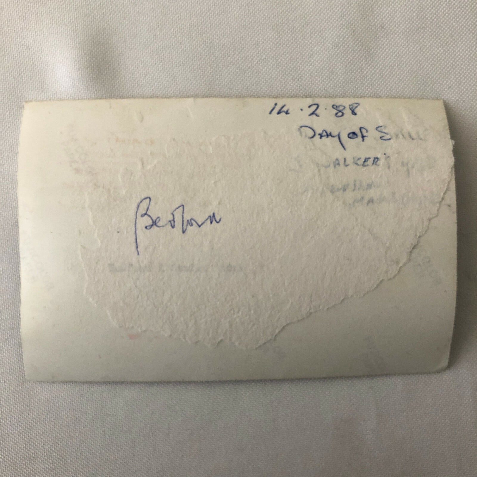 Vintage Bedford Truck Barn Find Junk Yard Parts Photo Photograph Print Lot 43x