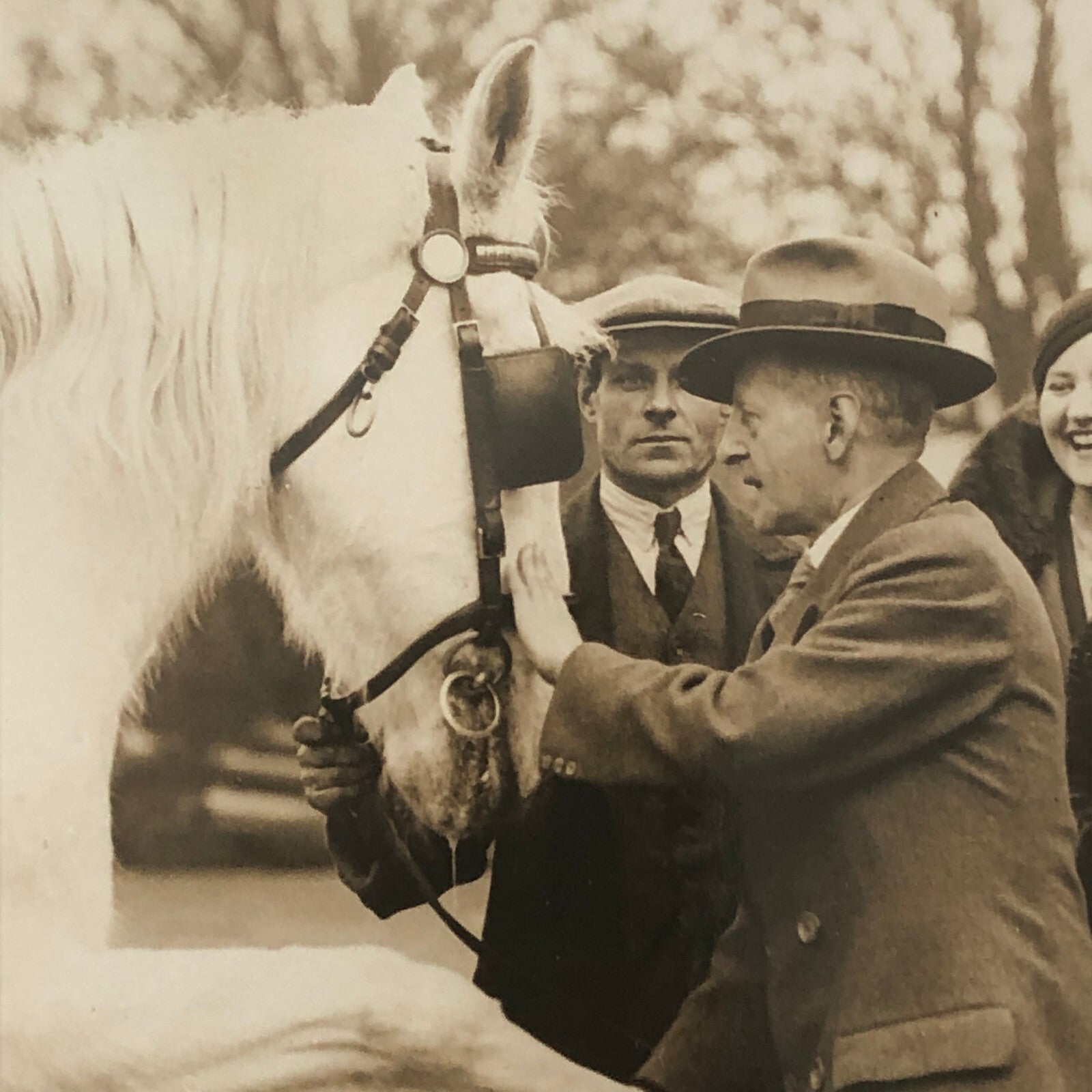 Vintage Press Photo Photograph War Horse Retirement Mayor Southgate London 1934