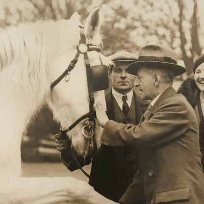 Vintage Press Photo Photograph War Horse Retirement Mayor Southgate London 1934