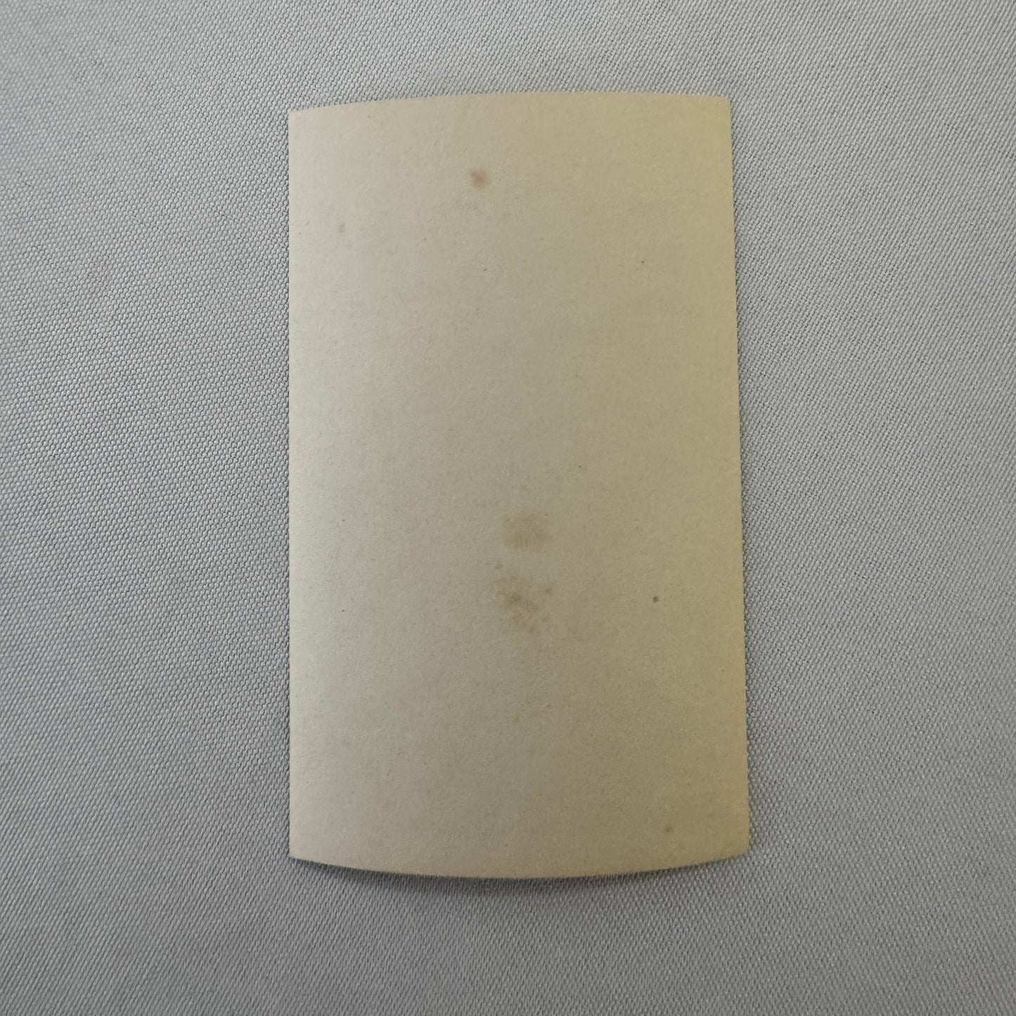 Vintage Photo Photograph Man with City Pennants Chicago Toronto Hamilton Sports