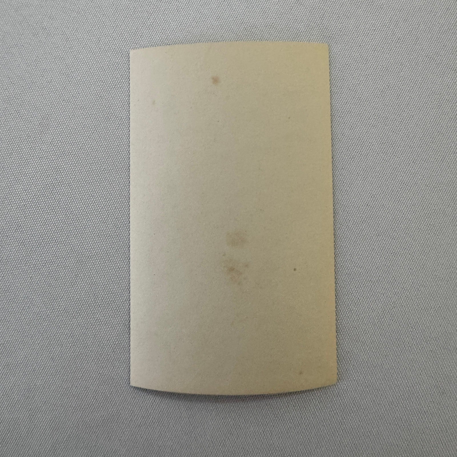 Vintage Photo Photograph Man with City Pennants Chicago Toronto Hamilton Sports