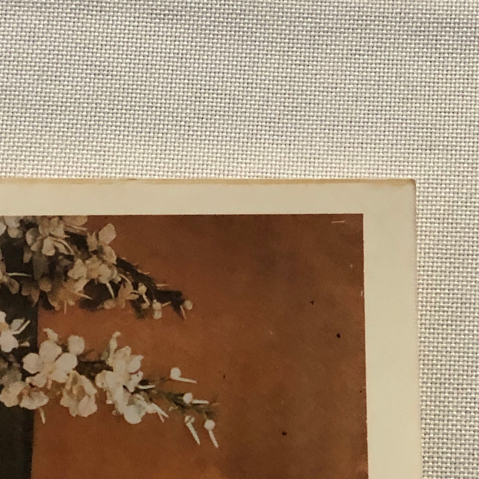 Ann Sothern Hollywood Movie Star Actress Photo Photograph Print Beautiful