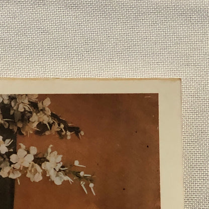 Ann Sothern Hollywood Movie Star Actress Photo Photograph Print Beautiful