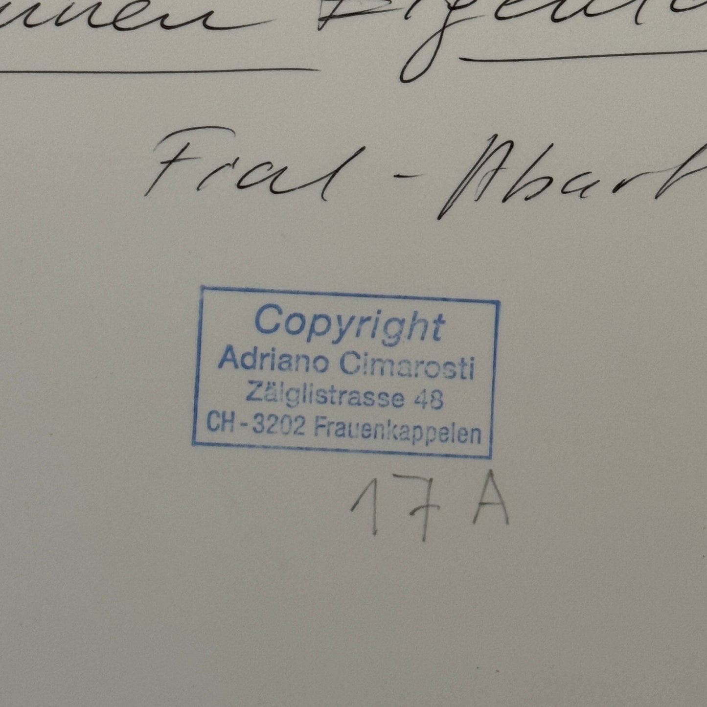 Fiat Abarth Racing Car 1964 Photo Photograph Modern Print