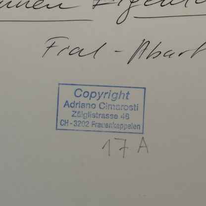 Fiat Abarth Racing Car 1964 Photo Photograph Modern Print