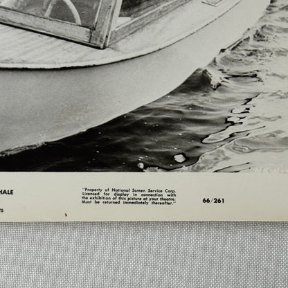 Vintage Movie Still Press Photo Photograph Namu the Killer Whale 1966