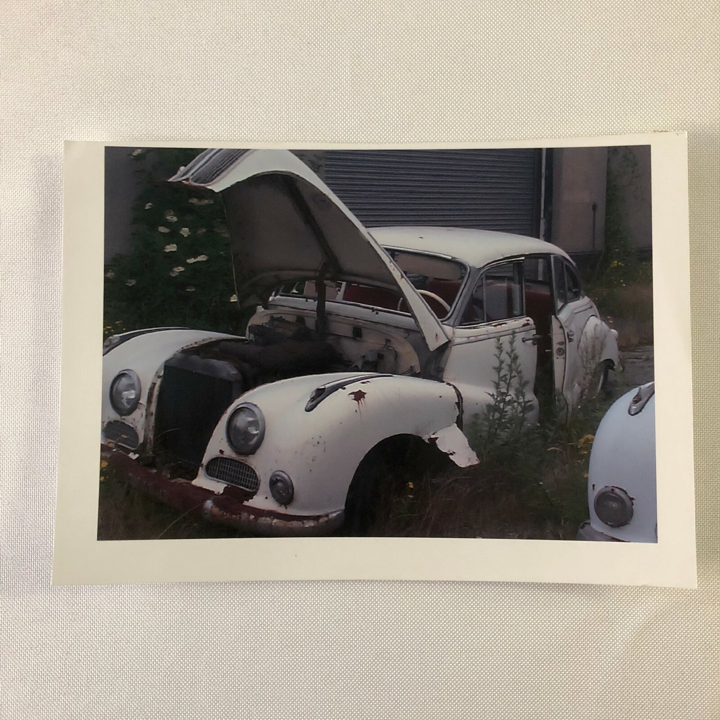 Vintage 1954 BMW 501 V8 Car Barn Find Junk Yard Photo Photograph Print 