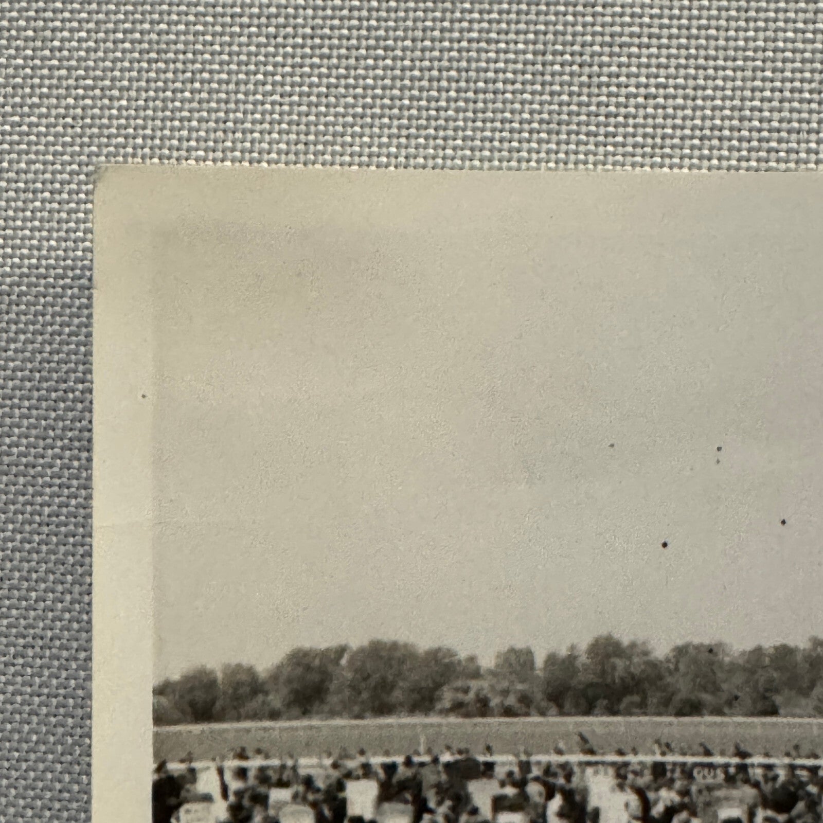 Vintage Photo Photograph Crowd at Horse Racing Track