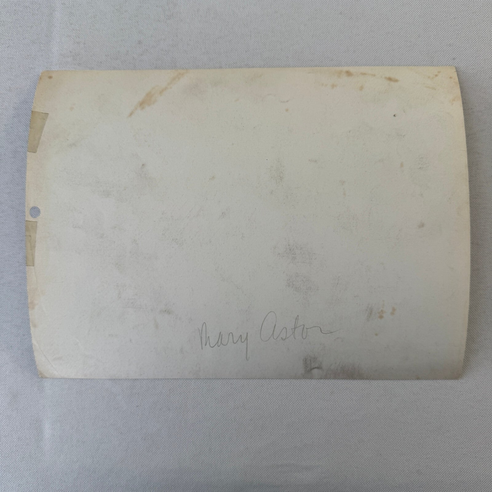 Vintage Movie Press Photo Photograph Paradise for Three MGM Metro Goldwyn Mayer