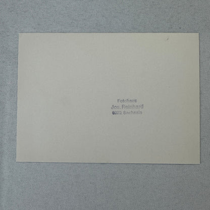 Vintage Monaco Grand Prix F1 Formula One Racing Photo Photograph Print