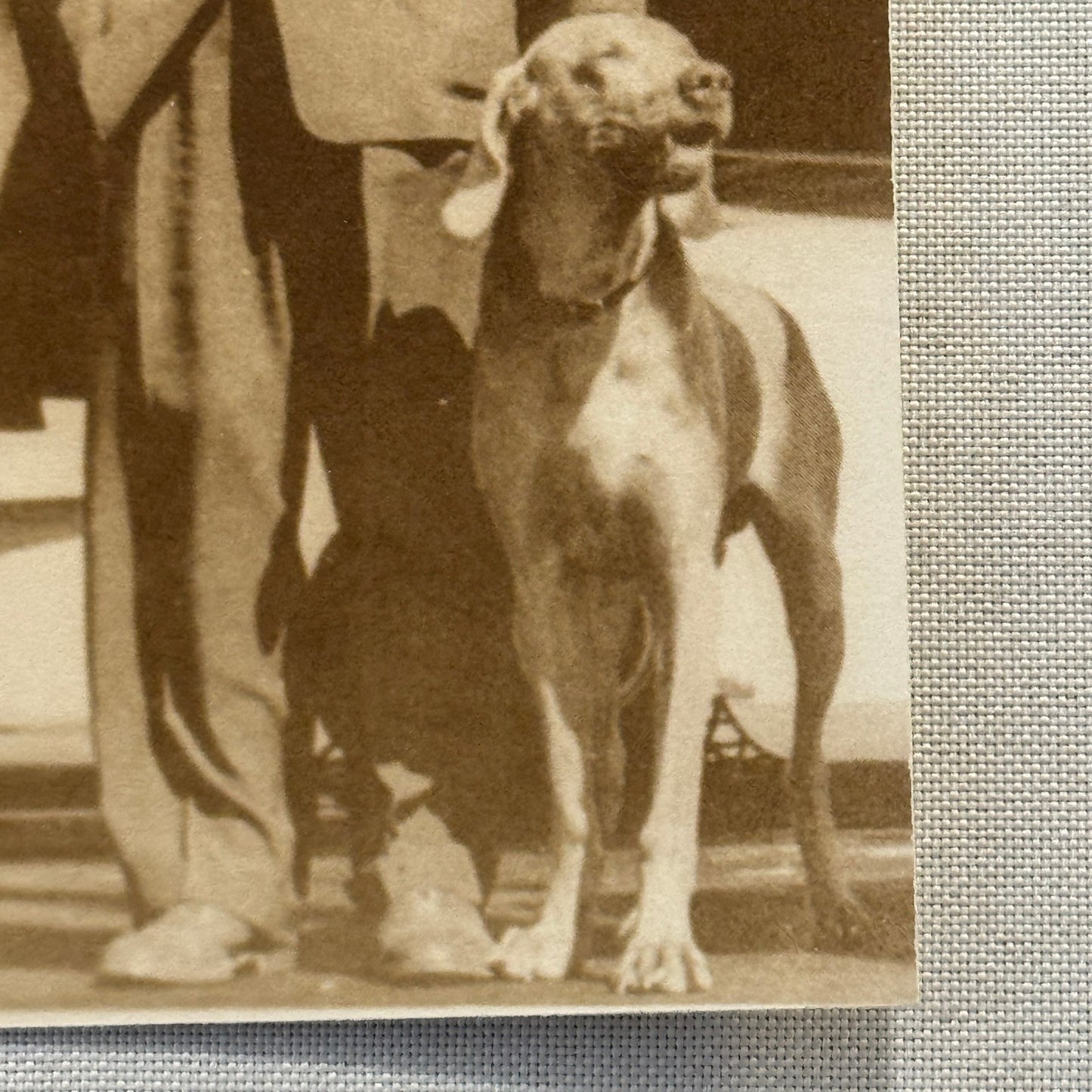 Vintage Photograph Donald Wills Douglas Sr with Dog Douglas Aircraft Aviation