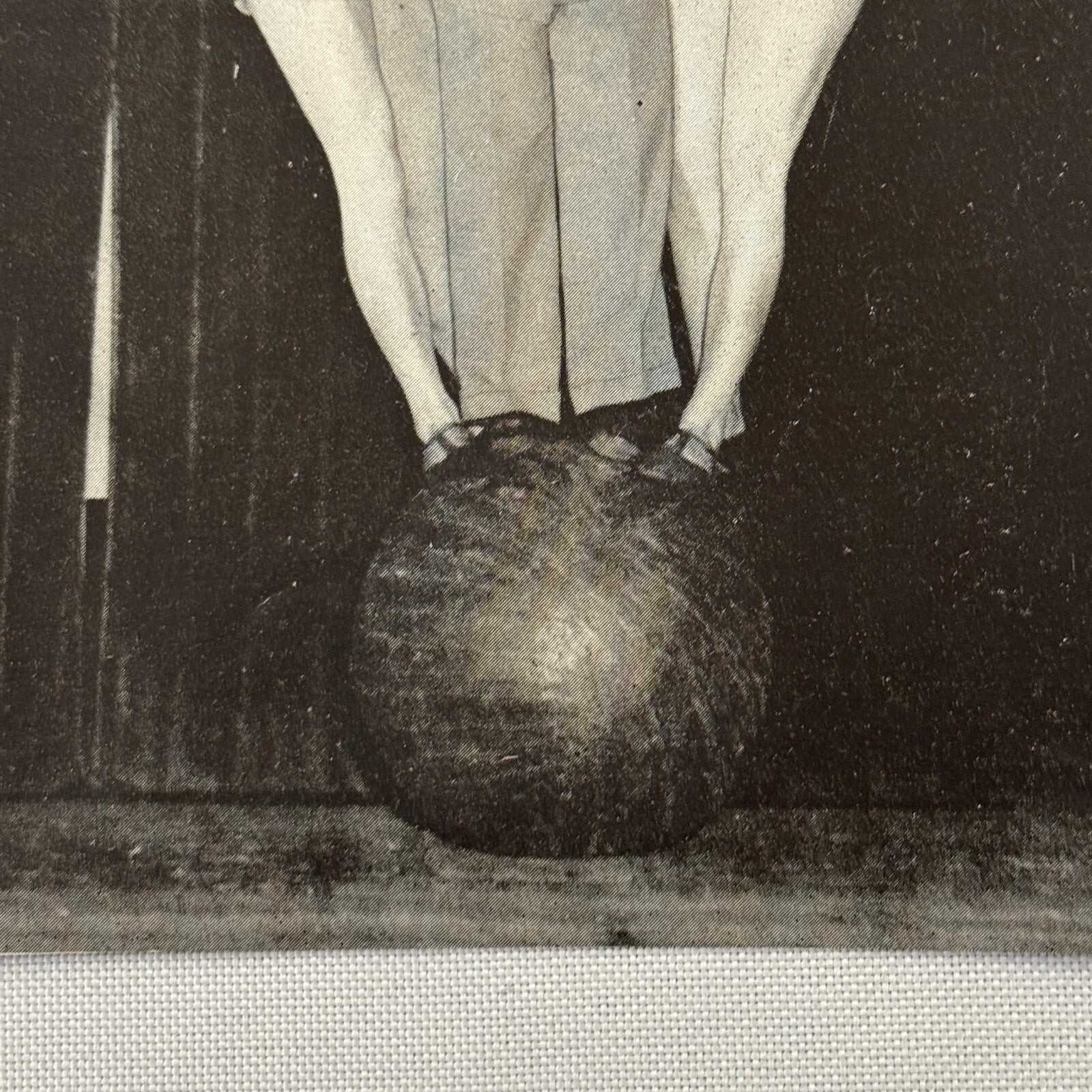 Circus Advertising Flyer Balancing Act 3 Rollings 1960 Vintage