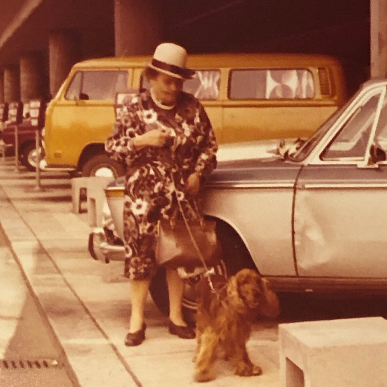 Vintage Photo Photograph Woman with Dog Car Automobile VW Bus Van Tag AL22SM2