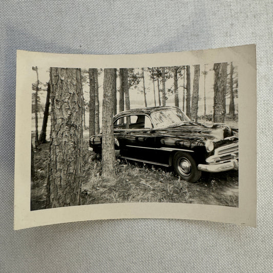 Vintage Chevrolet Car Automobile Snapshot Photo Photograph Print